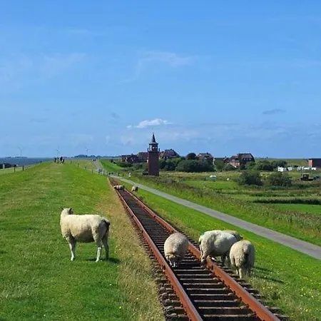 度假居 Haus In Nahe Wattenmeer