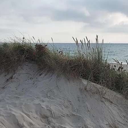 Doppelhaushaelfte Mit Terrasse In Niebuell Nahe Wattenmeer *